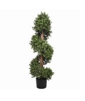 Premium Buxus Spiral