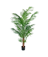 Areca palme, 150 cm