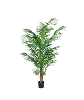 Areca palme, 120 cm
