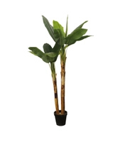 Banantre, 200cm m/sort potte