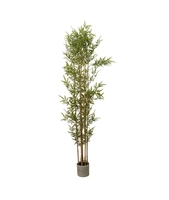 Bambus, 200cm m/potte