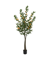 Citrustre, 180 cm