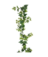 Murgrøna/ Eføy Girlander 120cm