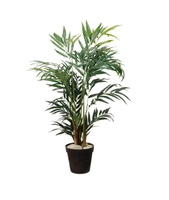 Palme, 110cm m/potte
