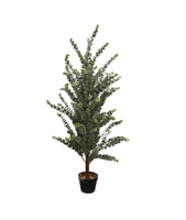 Eucalyptus, 150cm m/sort potte