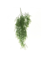 Mini leaf hengeplante