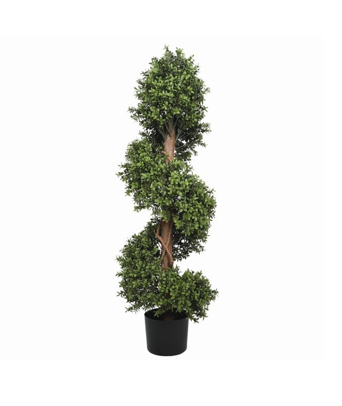 Premium Buxus Spiral