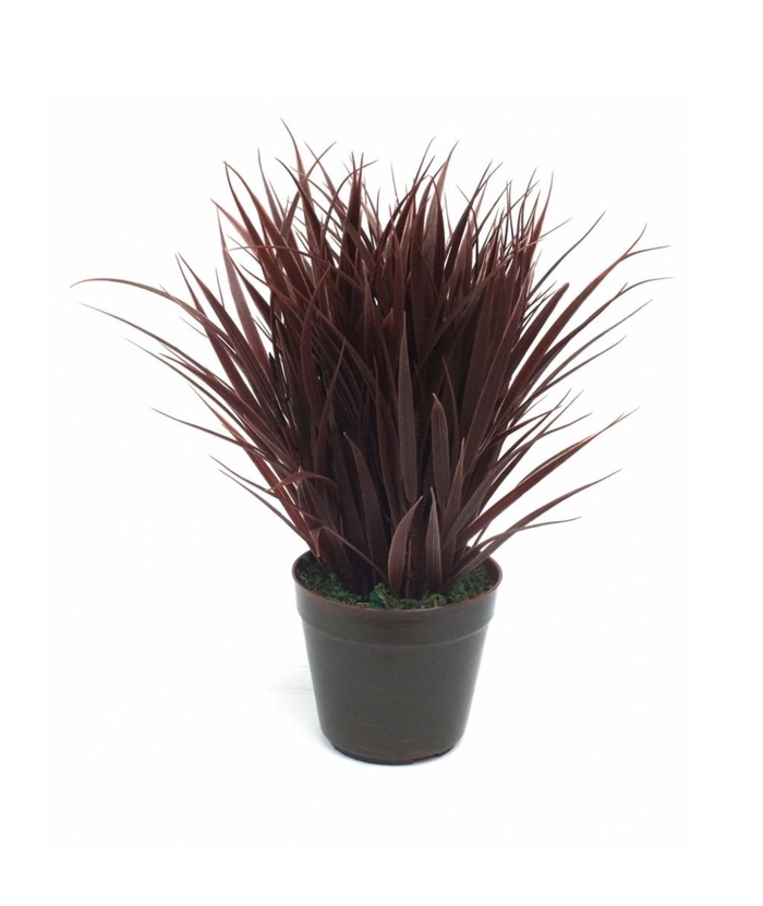 Kunstig edderkoppgress plante