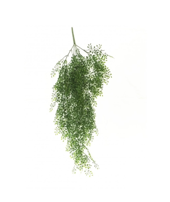 Mini leaf hengeplante