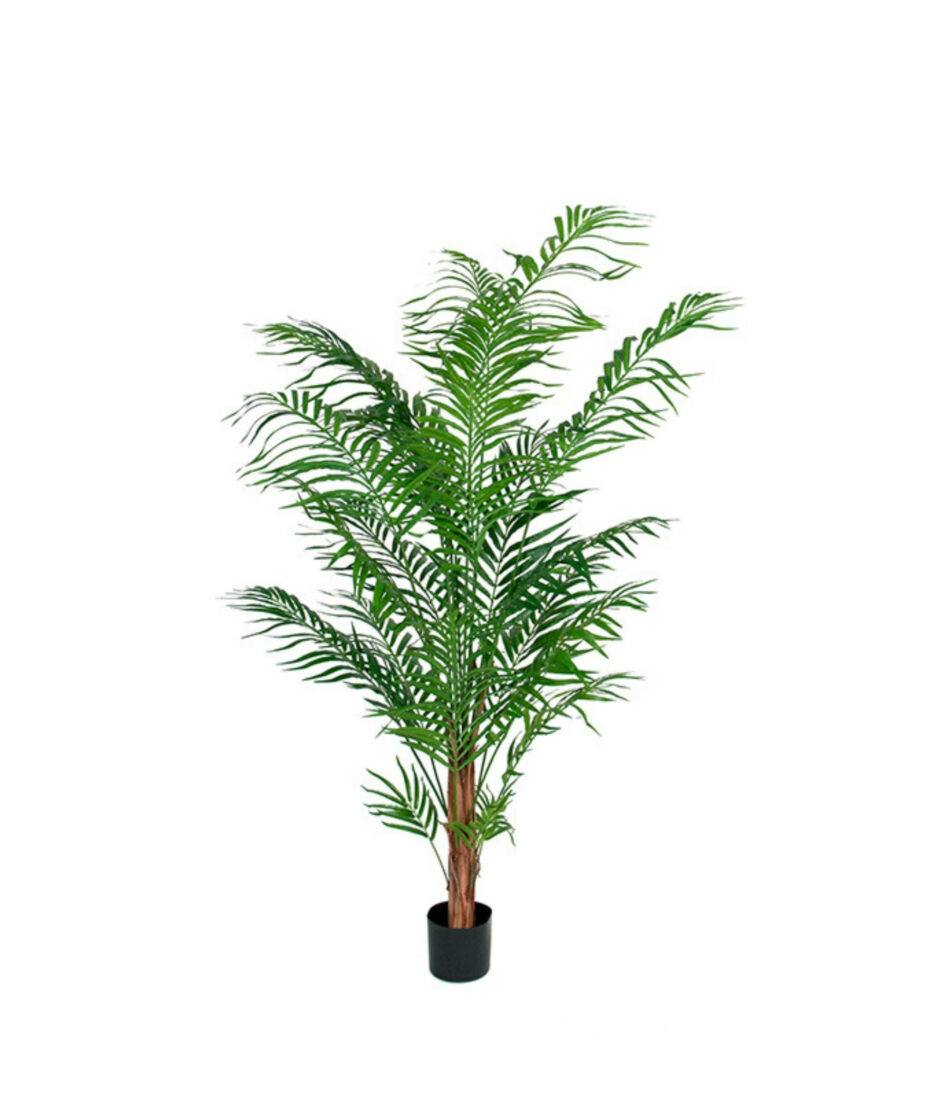 Areca palme, 120 cm | NICHE Interiør & Storkjøkken