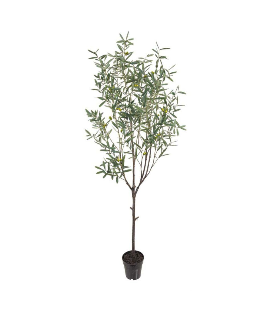 Oliven 200 cm | NICHE Interiør & Storkjøkken