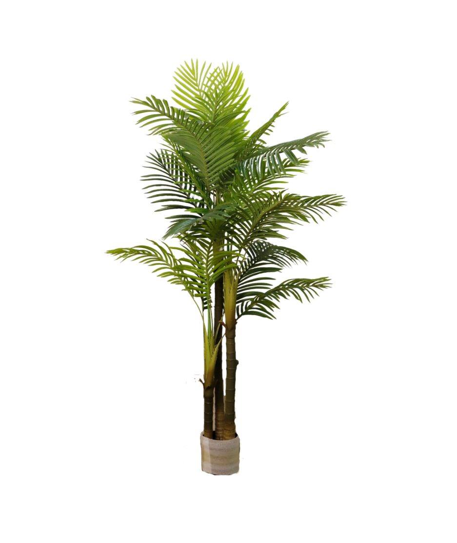 Palme, 190cm m/potte | NICHE Interiør & Storkjøkken